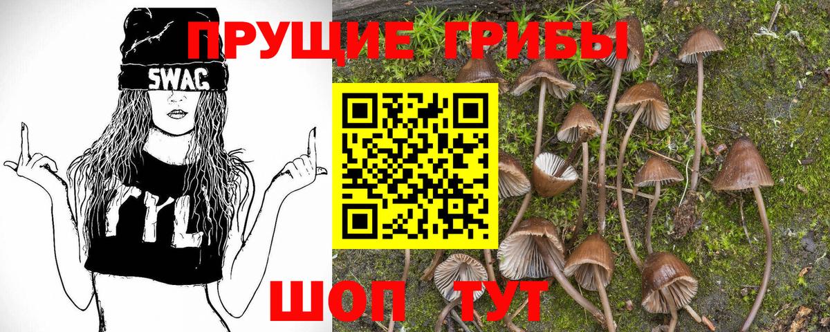 Гусь-Хрустальный  Псилоцибиновые грибы мицелий  Псилоцибиновые грибы мицелий  Вход с VPN 