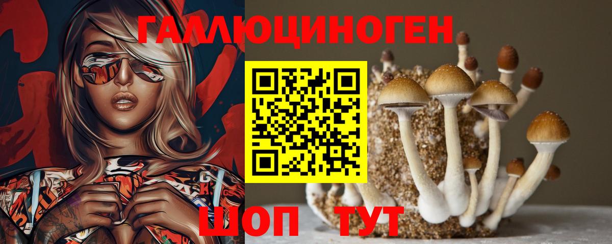 Псилоцибиновые грибы мицелий Гусь-Хрустальный